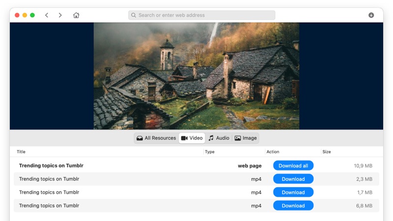  You'll see the available formats in the list of downloadable files (Tumblr videos are usually in MP4).