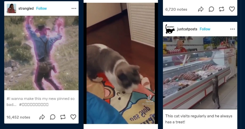  Tumblr video just seems freezing.