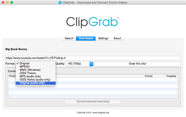 Let's look closer at ClipGrab pros&cons.