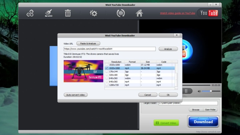 Let's look at pros and cons of WinX YouTube Downloader